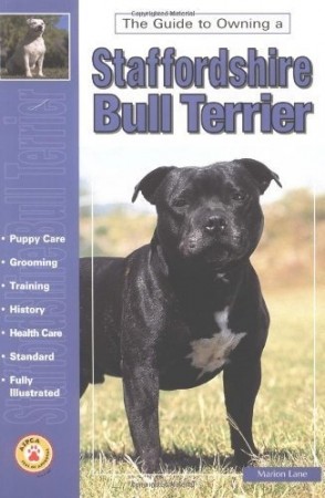 Staffordshire Bull Terrier